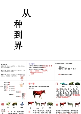 八年级生物上册 6.1.2 从种到界课件1 （新版）新人教版