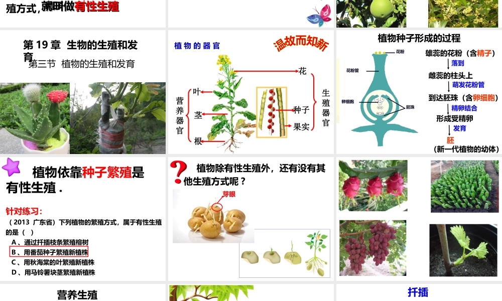八年级生物上册 19.3《植物的生殖方式》课件1 （新版）北师大版-（新版）北师大级上册生物课件