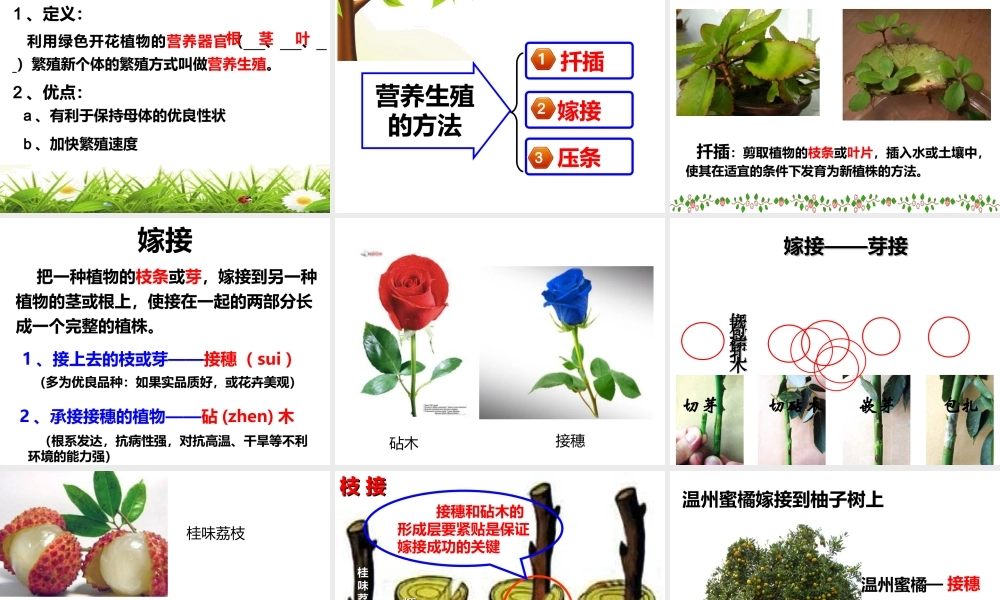 八年级生物上册 19.3《植物的生殖方式》课件1 （新版）北师大版-（新版）北师大级上册生物课件
