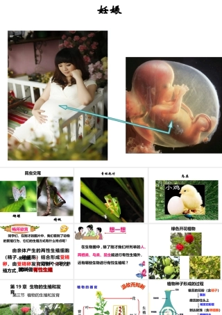 八年级生物上册 19.3《植物的生殖方式》课件1 （新版）北师大版-（新版）北师大级上册生物课件