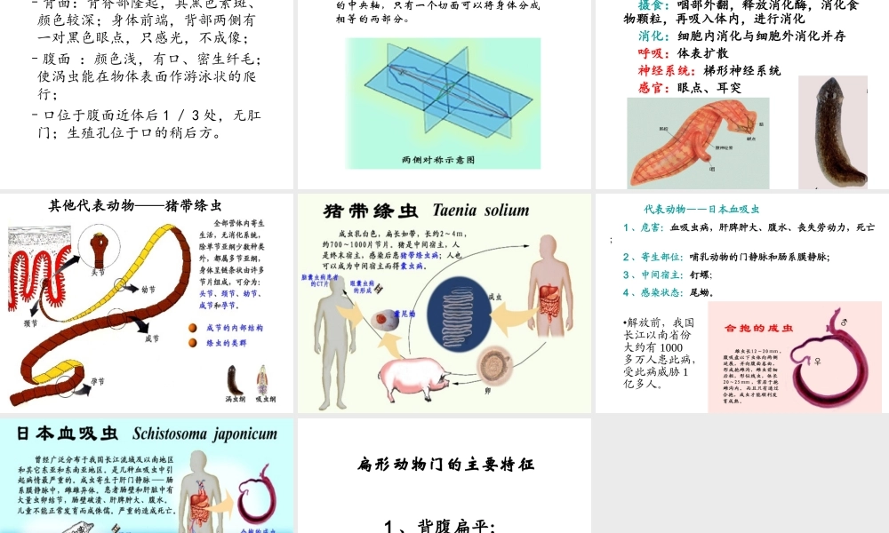 八年级生物上册 5.1.1 腔肠动物和扁形动物课件3 （新版）新人教版-（新版）新人教级上册生物课件