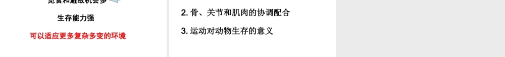 八年级生物上册 5.2.1 动物的运动课件2 （新版）新人教版