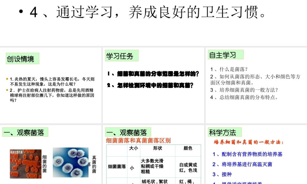 八年级生物上册 5.4.1细菌和真菌的分布课件 （新版）新人教版-（新版）新人教级上册生物课件