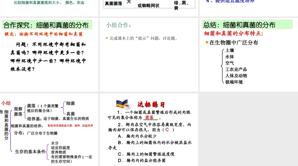 八年级生物上册 5.4.1细菌和真菌的分布课件 （新版）新人教版-（新版）新人教级上册生物课件