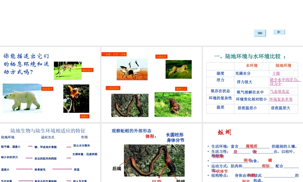 八年级生物上册 5.1.2陆地生活的动物 人教新课标版