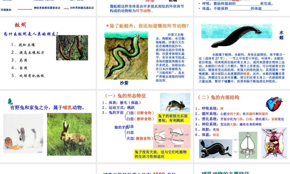 八年级生物上册 5.1.2陆地生活的动物 人教新课标版