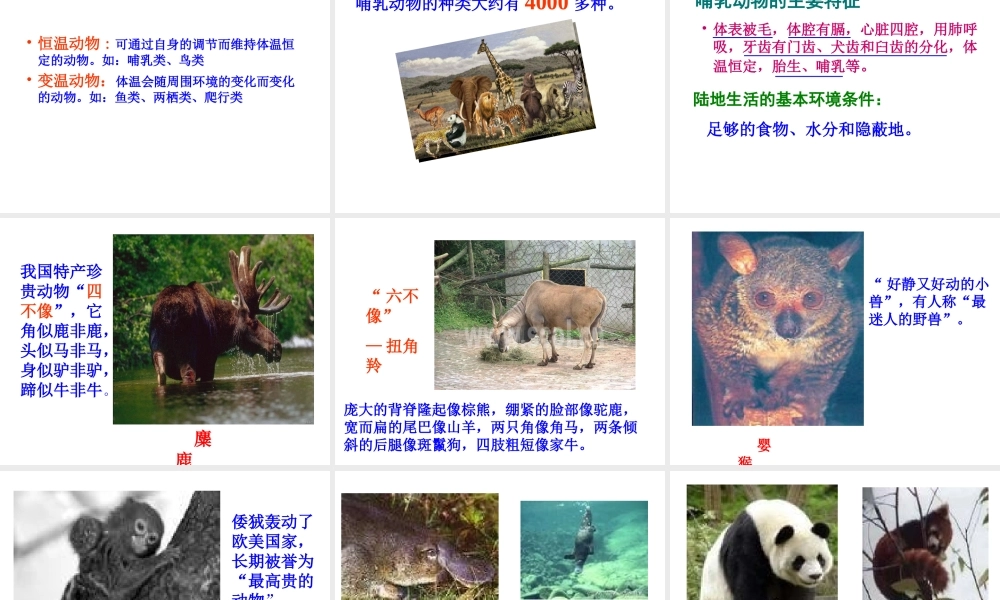 八年级生物上册 5.1.2陆地生活的动物 人教新课标版