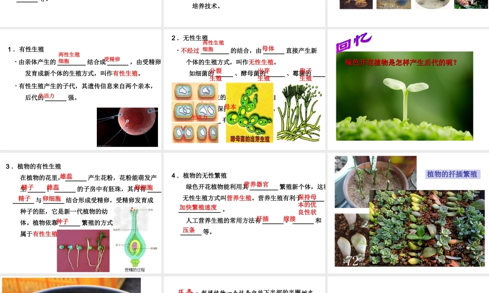 八年级生物上册 19.3《植物的生殖方式》课件2 （新版）北师大版-（新版）北师大级上册生物课件