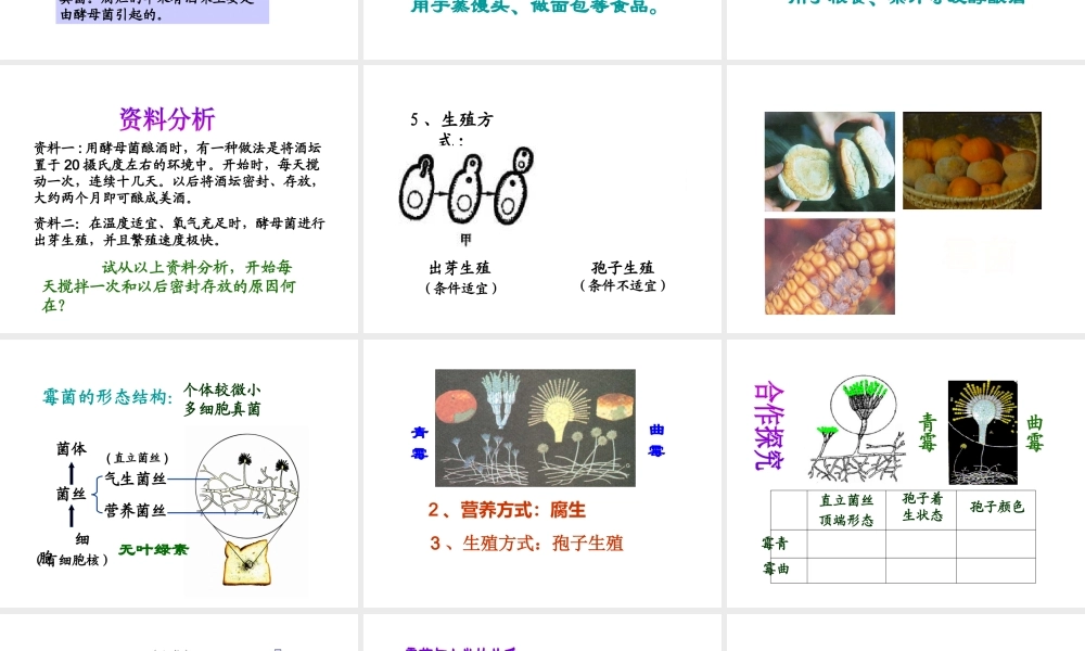 八年级生物上册 5.2.1 酵母菌和霉菌课件（1）（新版）冀教版-（新版）冀教版初中八年级上册生物课件
