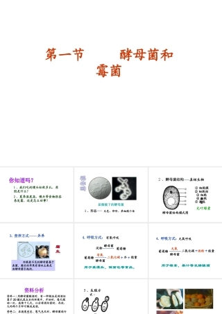 八年级生物上册 5.2.1 酵母菌和霉菌课件（1）（新版）冀教版-（新版）冀教版初中八年级上册生物课件