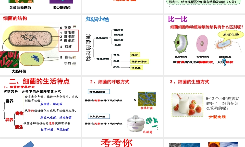 八年级生物上册 5.1.1 细菌课件 （新版）冀教版-（新版）冀教版初中八年级上册生物课件