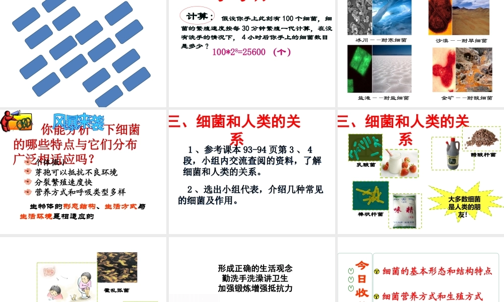 八年级生物上册 5.1.1 细菌课件 （新版）冀教版-（新版）冀教版初中八年级上册生物课件