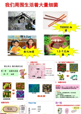 八年级生物上册 5.1.1 细菌课件 （新版）冀教版-（新版）冀教版初中八年级上册生物课件