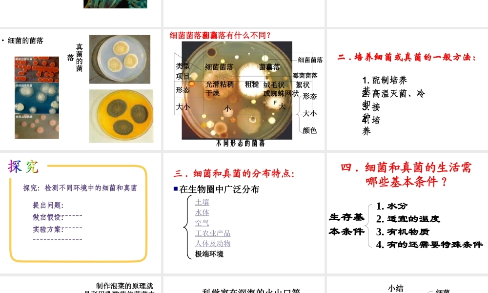 八年级生物上册 5.4.1细菌和真菌的分布课件 人教新课标版