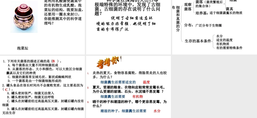 八年级生物上册 5.4.1细菌和真菌的分布课件 人教新课标版
