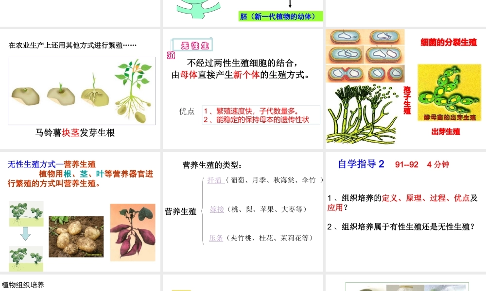 八年级生物上册 19.3《植物的生殖方式》课件3 （新版）北师大版-（新版）北师大版初中八年级上册生物课件