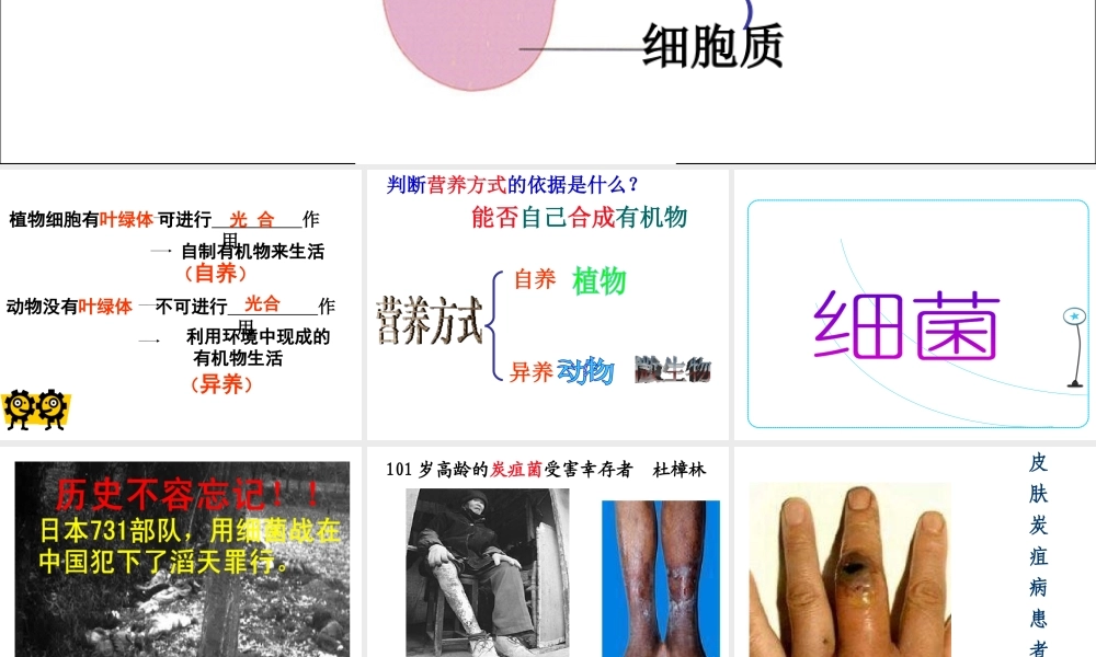 八年级生物上册 5.4.2 细菌教学课件 （新版）新人教版-（新版）新人教版初中八年级上册生物课件