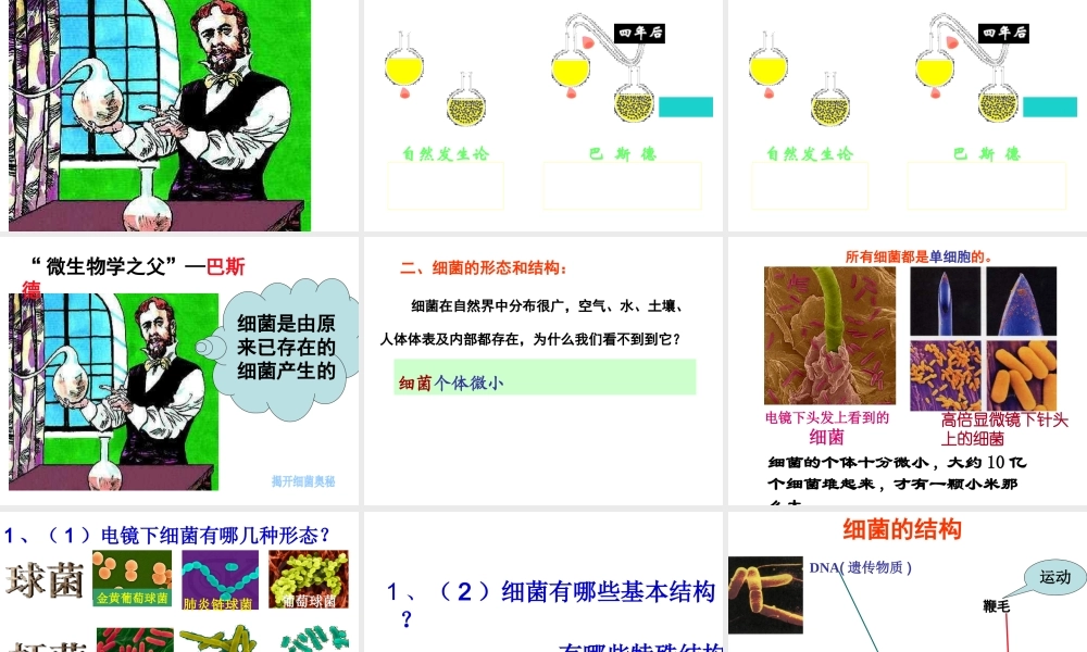 八年级生物上册 5.4.2 细菌教学课件 （新版）新人教版-（新版）新人教版初中八年级上册生物课件