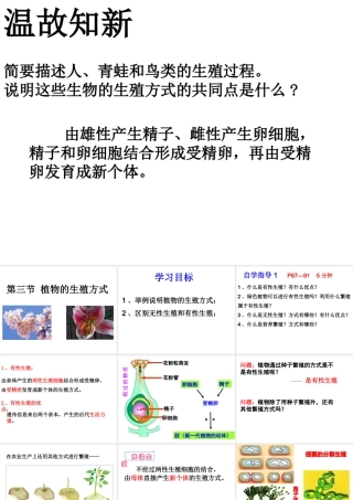 八年级生物上册 19.3《植物的生殖方式》课件3 （新版）北师大版-（新版）北师大级上册生物课件