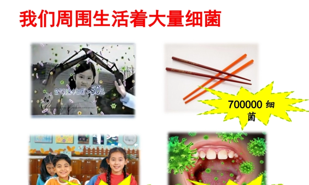 八年级生物上册 5.1.1 细菌课件 （新版）冀教版-（新版）冀教级上册生物课件