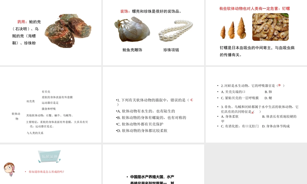 八年级生物上册 5.1.3 软体动物和节肢动物（第1课时）教学课件 （新版）新人教版-（新版）新人教版初中八年级上册生物课件