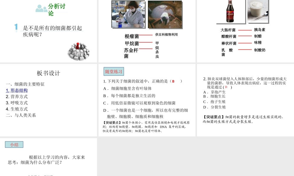 八年级生物上册 5.1.1 细菌课件 冀教版-冀教级上册生物课件