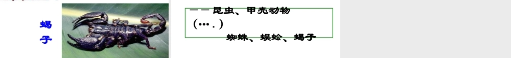 八年级生物上册 5.1.3 软体动物和节肢动物课件 （新版）人教版-人教版初中八年级上册生物课件