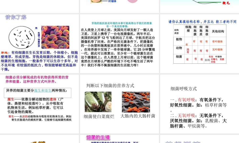 八年级生物上册 5.1.1 细菌课件（1）（新版）冀教版-（新版）冀教级上册生物课件