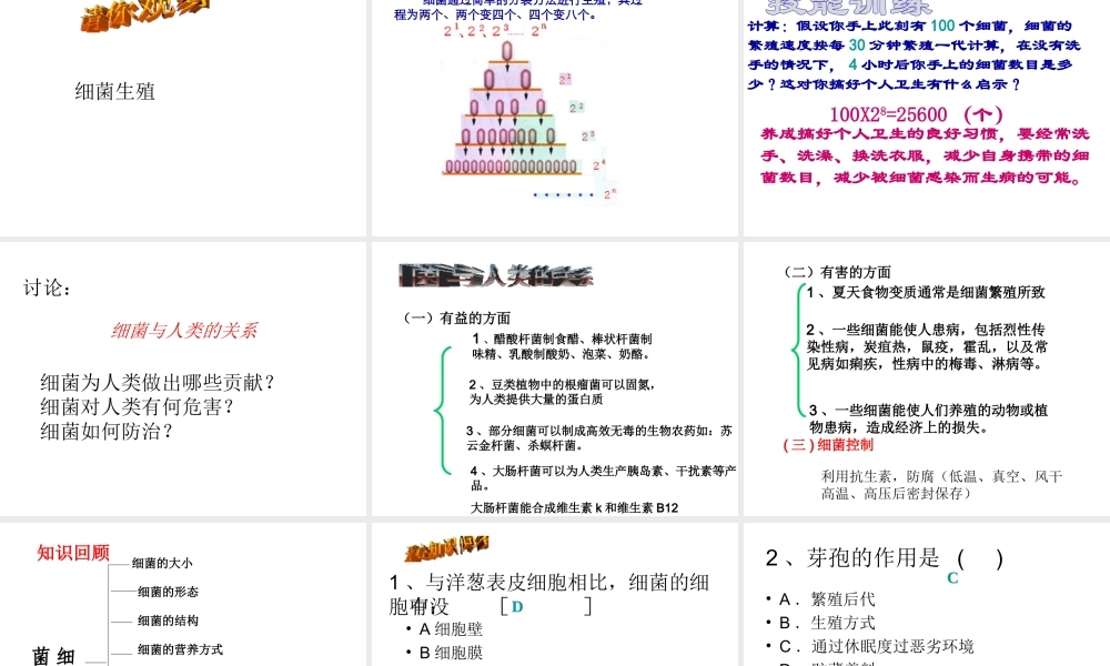 八年级生物上册 5.1.1 细菌课件（1）（新版）冀教版-（新版）冀教级上册生物课件