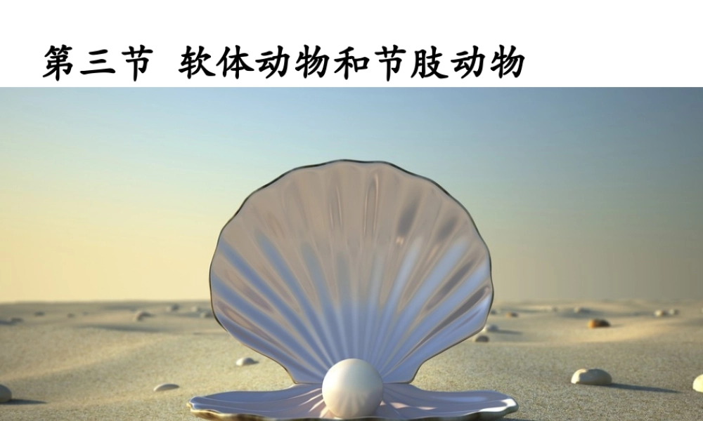 八年级生物上册 5.1.3 软体动物和节肢动物课件 （新版）新人教版