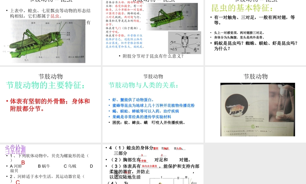 八年级生物上册 5.1.3 软体动物和节肢动物课件 （新版）新人教版