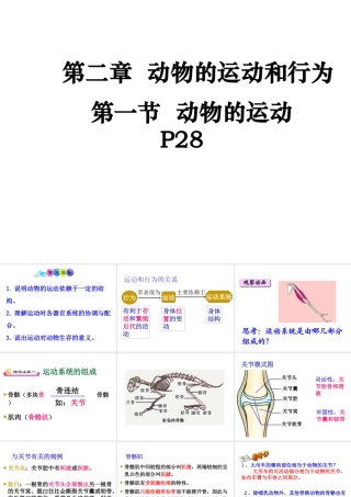 八年级生物上册 5.2.1动物的运动课件 人教新课标版