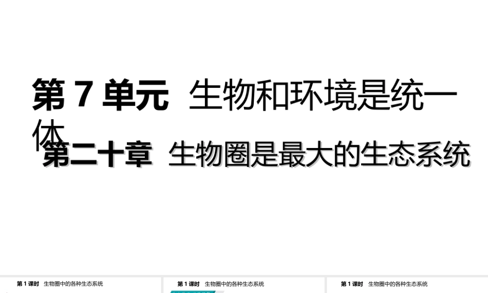 八年级生物上册 20.1生物圈中的各种生态系统（第1课时 生物圈中的各种生态系统）课件 （新版）苏教版-（新版）苏教版初中八年级上册生物课件