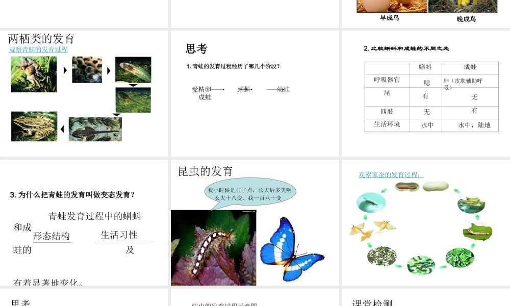 八年级生物上册 20.2 动物的发育教学课件 （新版）苏科版-（新版）苏科版初中八年级上册生物课件