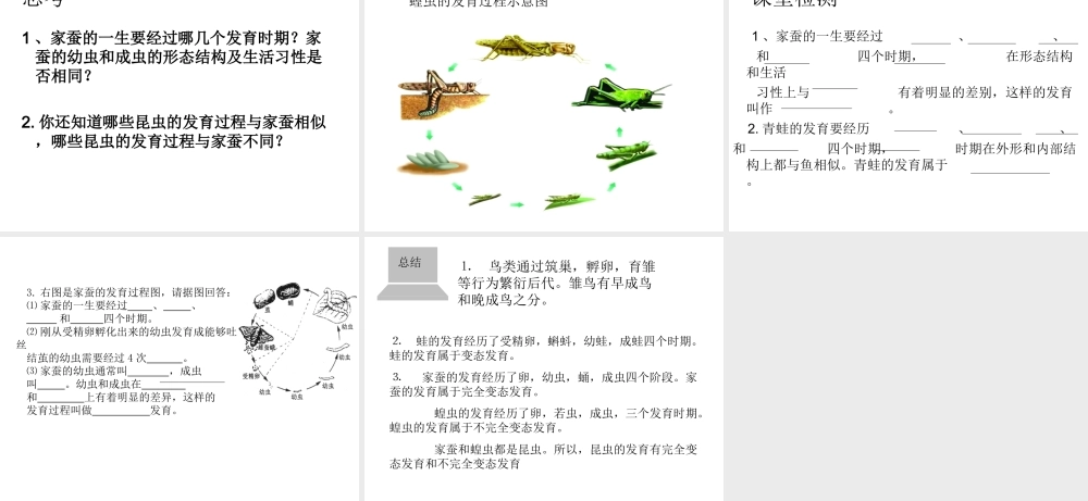 八年级生物上册 20.2 动物的发育教学课件 （新版）苏科版-（新版）苏科版初中八年级上册生物课件