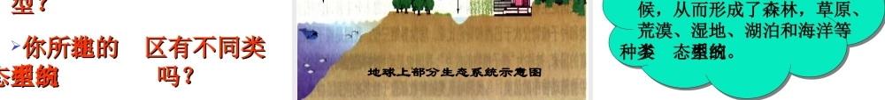 八年级生物上册 6.2 认识生物的多样性课件 新人教版-新人教版初中八年级上册生物课件