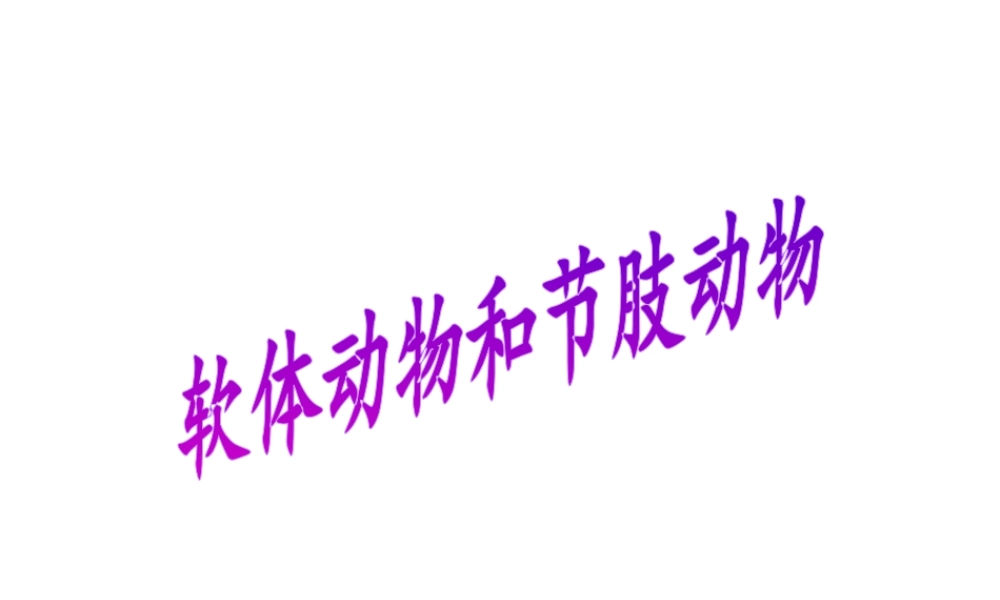 八年级生物上册 5.1.3 软体动物和节肢动物课件4 （新版）新人教版-（新版）新人教级上册生物课件