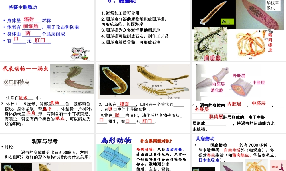 八年级生物上册 5.1.1《腔肠动物和扁形动物》课件5 （新版）新人教版-（新版）新人教版初中八年级上册生物课件