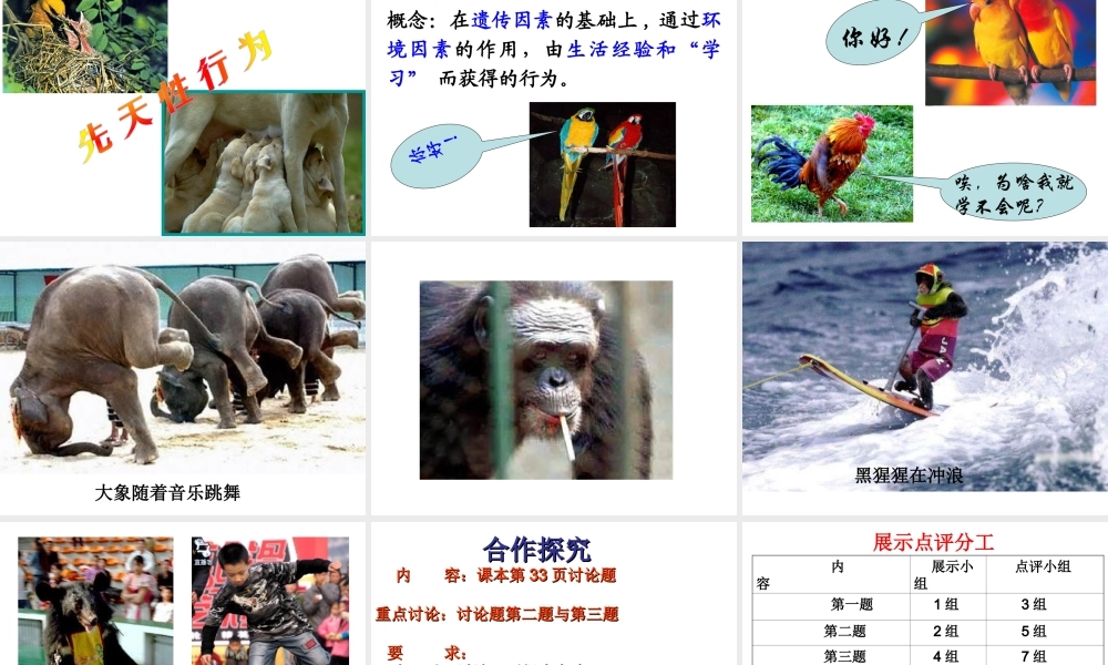 八年级生物上册 5.2.2 动物的先天性行为和学习行为课件 （新版）新人教版-（新版）新人教版初中八年级上册生物课件