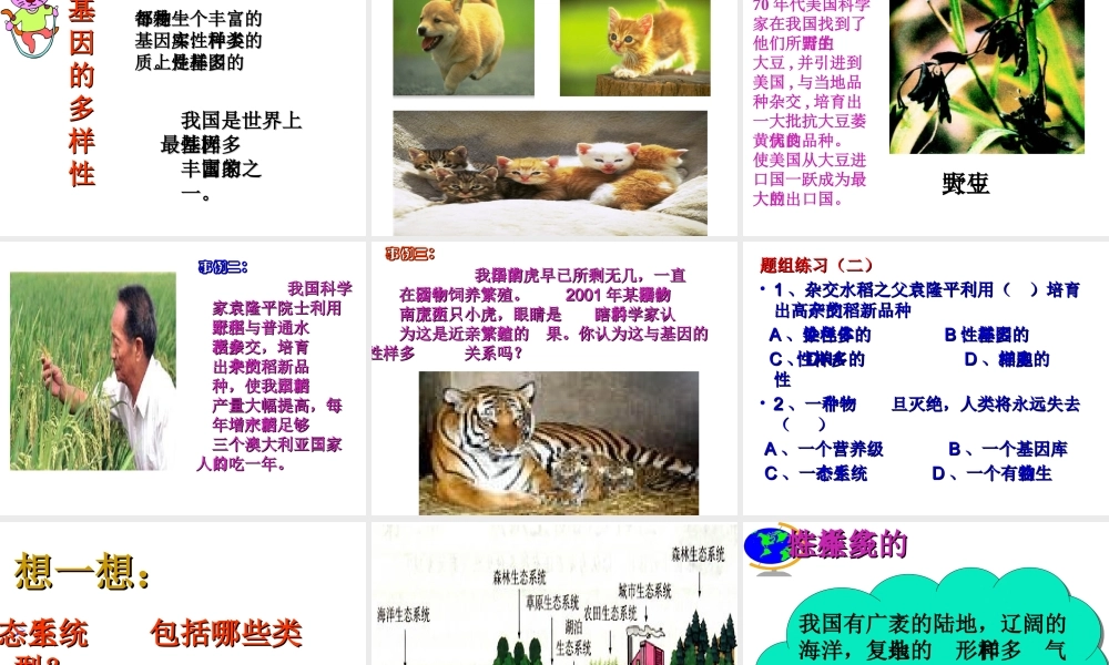 八年级生物上册 6.2 认识生物的多样性课件 新人教版-新人教级上册生物课件