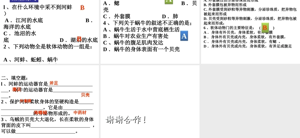 八年级生物上册 5.1.3 软体动物课件 （新版）新人教版