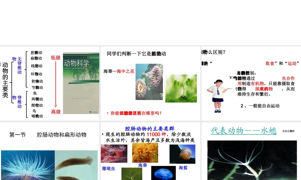 八年级生物上册 5.1.1《腔肠动物和扁形动物》课件5 （新版）新人教版-（新版）新人教级上册生物课件