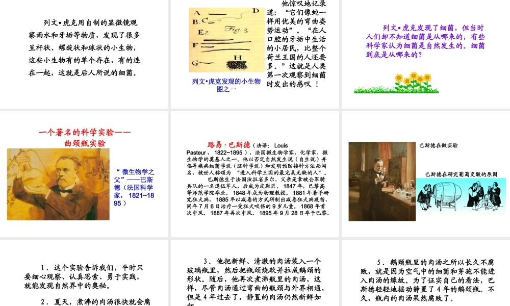 八年级生物上册 5.4.2《细菌》课件1 （新版）新人教版-（新版）新人教版初中八年级上册生物课件