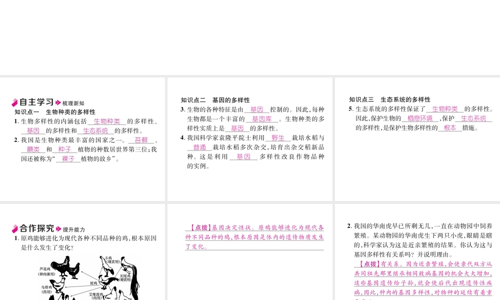 八年级生物上册 6.2 认识生物的多样性作业课件 （新版）新人教版-（新版）新人教版初中八年级上册生物课件