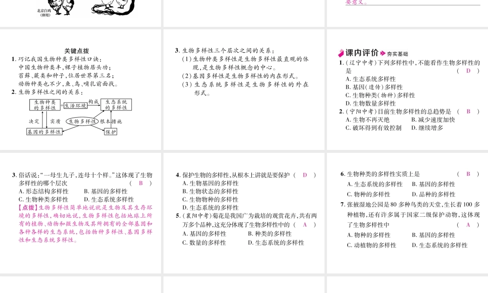 八年级生物上册 6.2 认识生物的多样性作业课件 （新版）新人教版-（新版）新人教版初中八年级上册生物课件