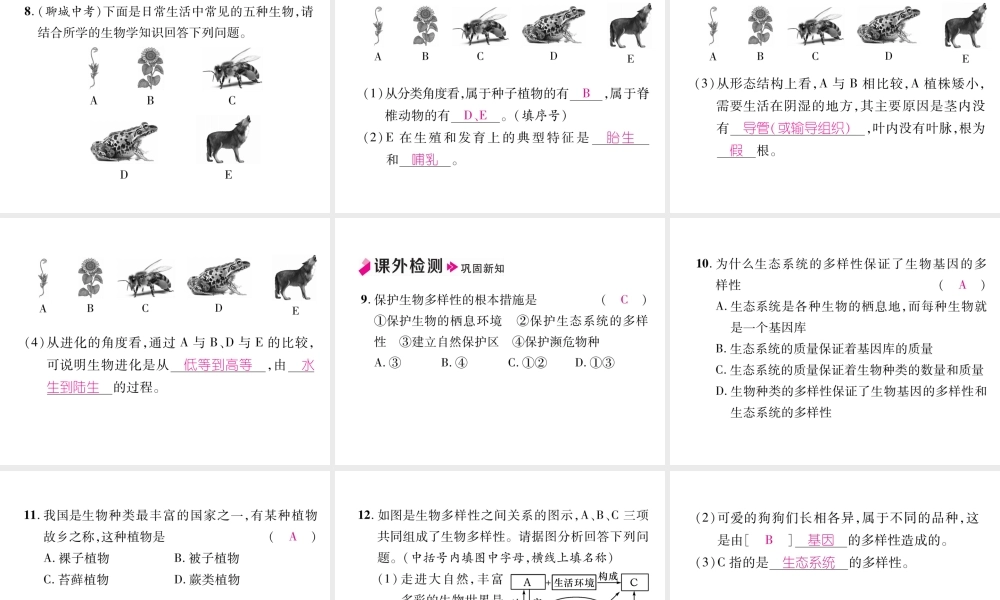 八年级生物上册 6.2 认识生物的多样性作业课件 （新版）新人教版-（新版）新人教版初中八年级上册生物课件