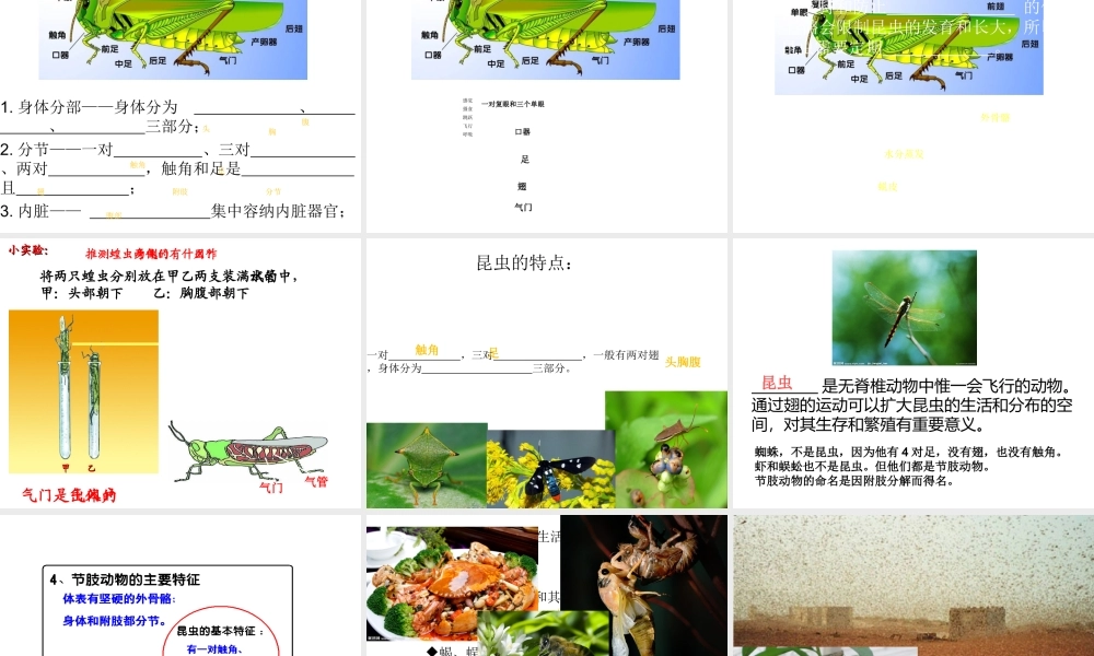 八年级生物上册 5.1.3 软体和节肢动物课件1 （新版）新人教版-（新版）新人教版初中八年级上册生物课件