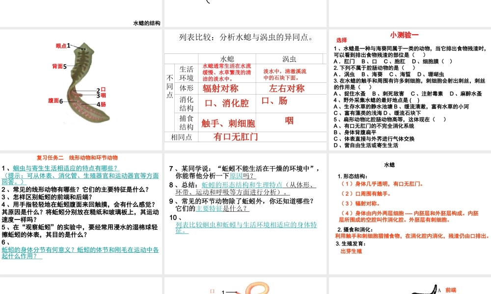 八年级生物上册 5.1.1-5.1.3 动物的主要类群复习课件 （新版）新人教版-（新版）新人教版初中八年级上册生物课件