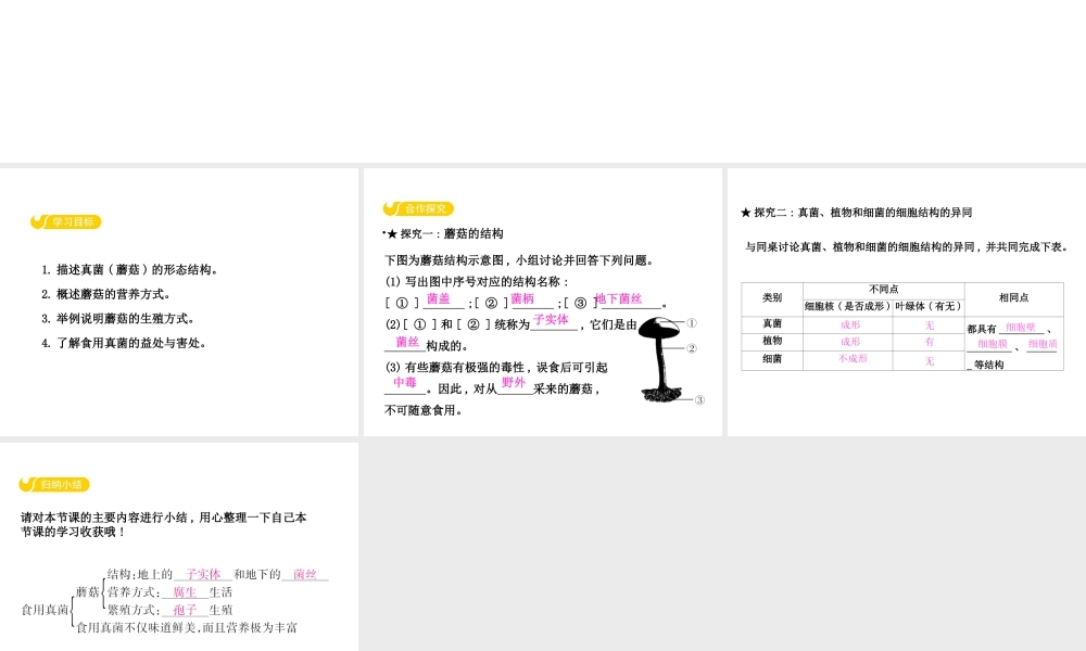 八年级生物上册 5.2.2 食用真菌课件 （新版）冀教版-（新版）冀教级上册生物课件