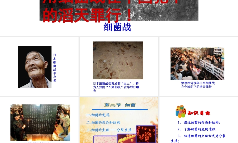 八年级生物上册 5.4.2《细菌》课件1 （新版）新人教版-（新版）新人教级上册生物课件